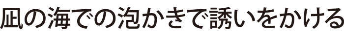 凪の海での泡かきで誘いをかける